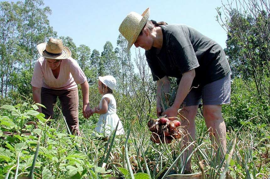 Pronaf e Plano Safra para agricultura familiar estão perto de se tornarem lei